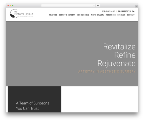 Infinity Pro WordPress theme - thenaturalresult.com