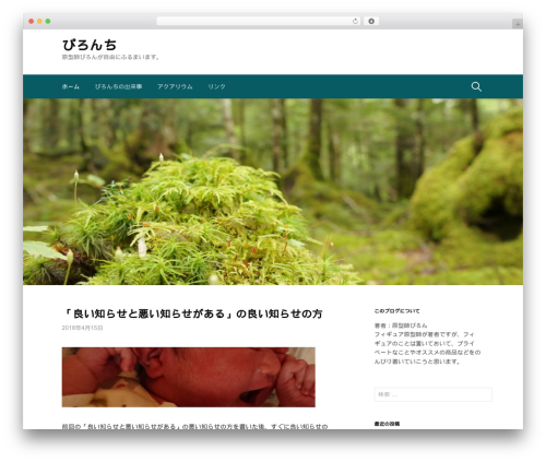 Theme WordPress First - piron-figure.net