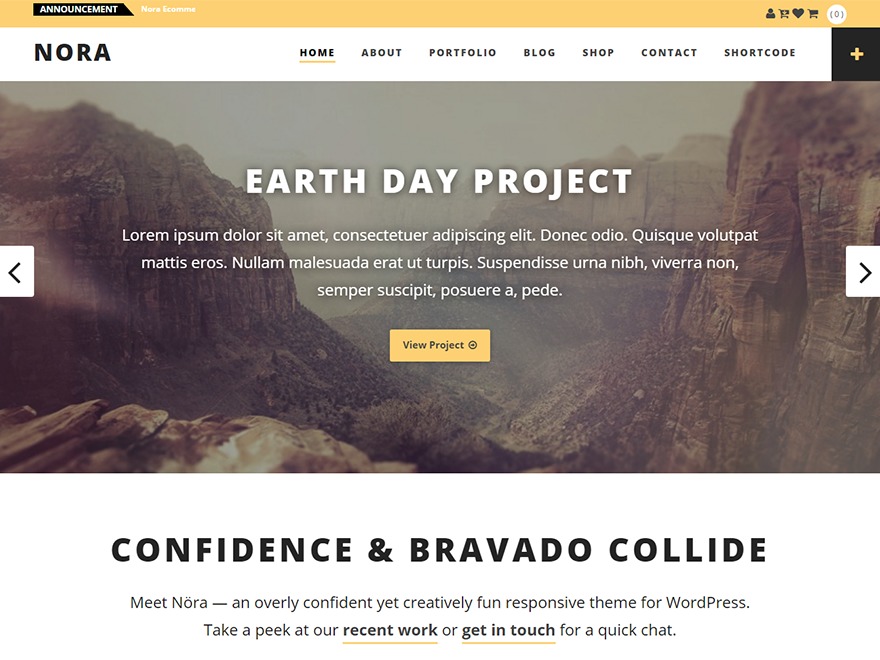 Theme WordPress Nora by StyledThemes
