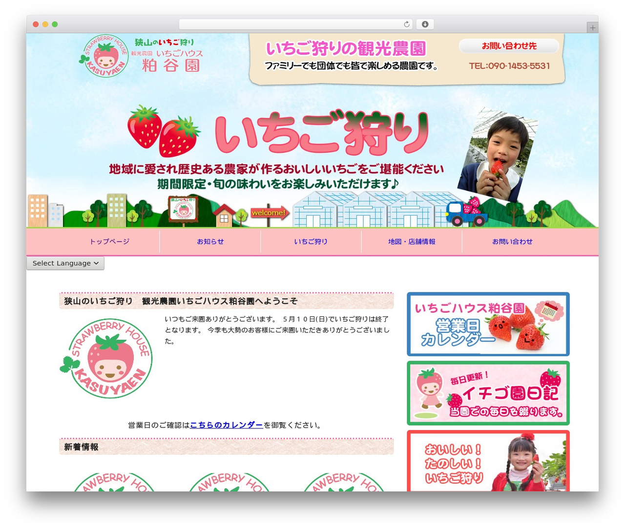 WordPress Default WordPress theme - kasuya15.com
