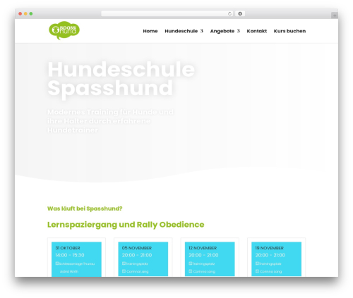Divi single builder WordPress plugin - spasshund.ch