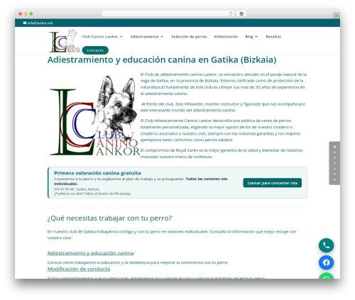 WordPress website theme Divi - lankor.net