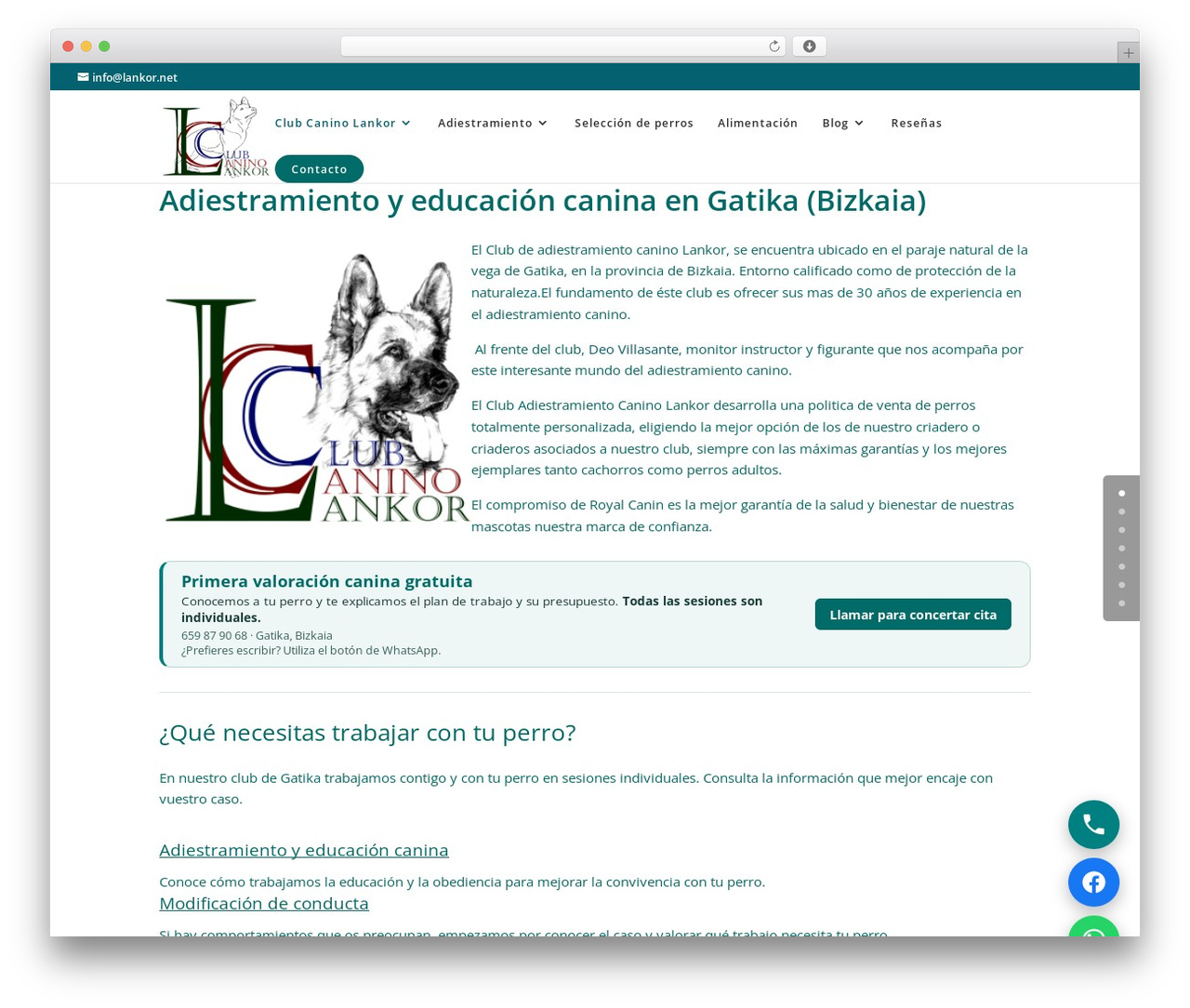 WordPress website theme Divi - lankor.net WordPress website theme Divi - lankor.net