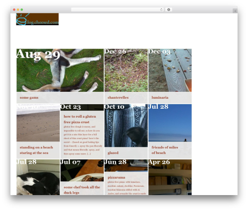 Futurosity Aperio Prototype WordPress theme - log.cheesed.com