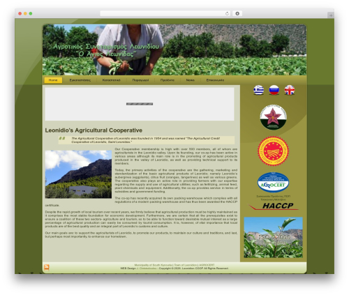 Thethe image slider WordPress plugin - leonidiocoop.gr