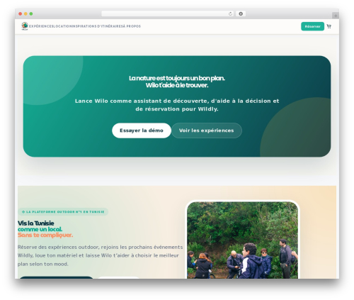 Sender net automated emails WordPress plugin - wildly.tn