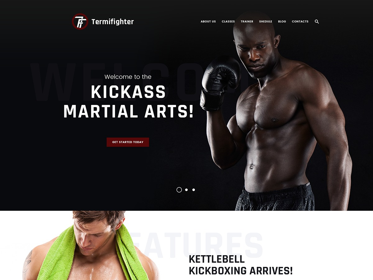 Termifighter WordPress theme by Jetimpex