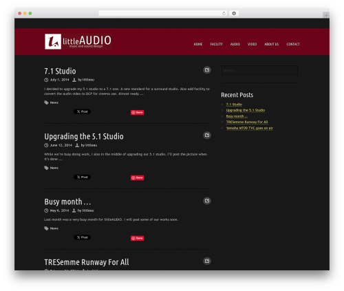 Theme WordPress Musicpro - littleaudio.com