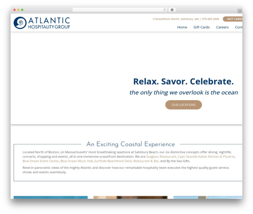 WordPress theme Custom Theme - atlantichg.com