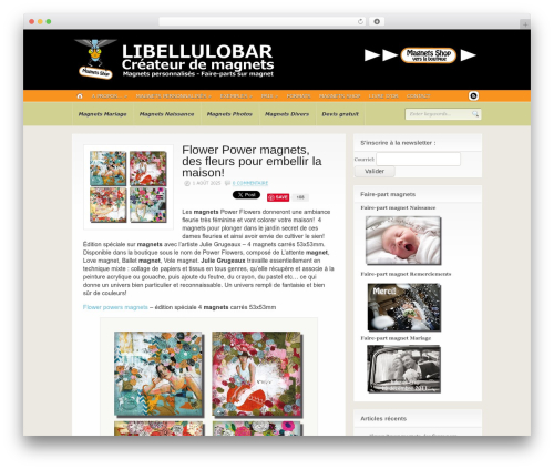 Dd formmailer WordPress plugin - libellulobar.com