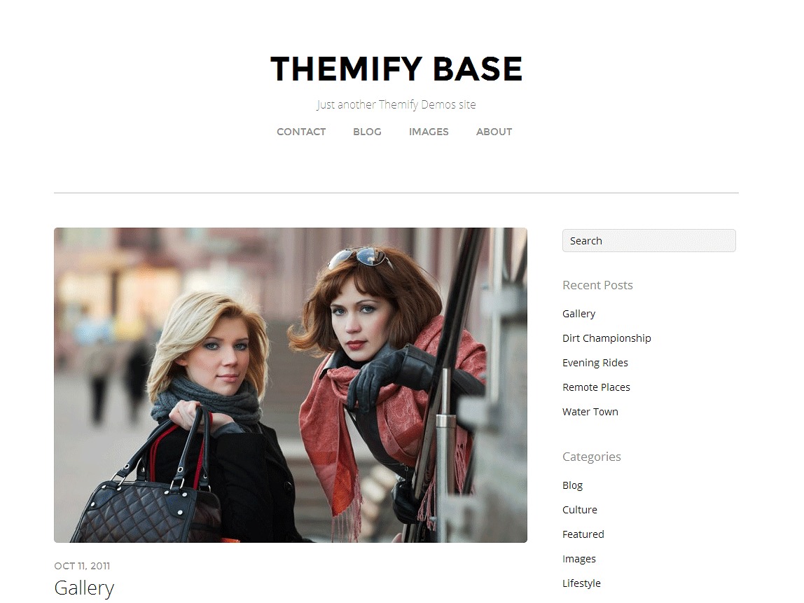 WordPress theme themify-base-child WordPress theme themify-base-child
