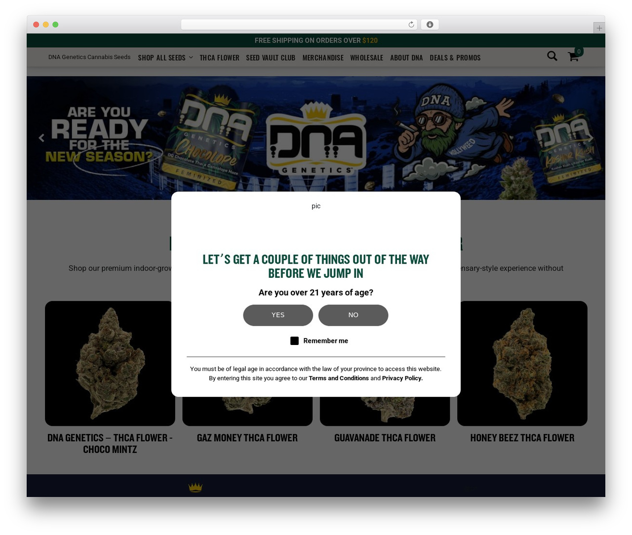 WP theme Dnagenetics - dnagenetics.com