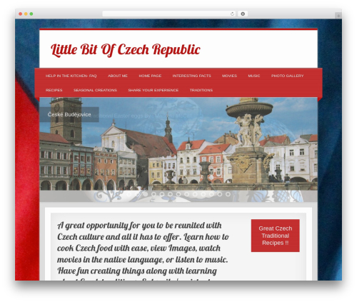 Easy media gallery pro WordPress plugin - littlebitofczech.com