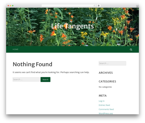 Accent WordPress theme - lifetangents.com