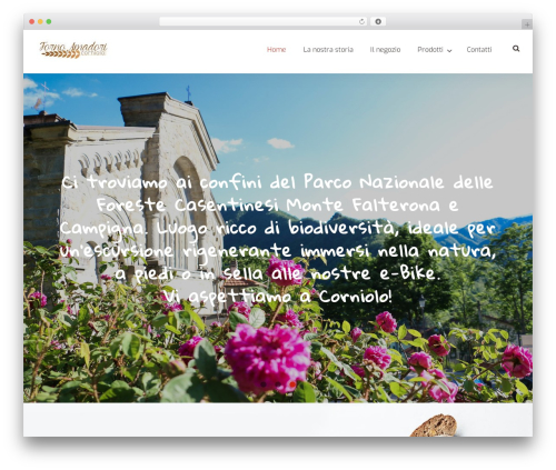 Power builder WordPress plugin - fornoamadori.it