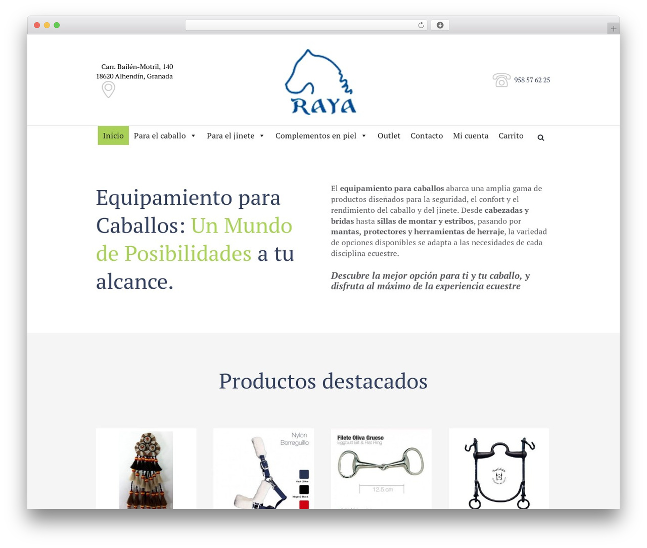 Equestrian centre theme WordPress - guarnicioneriaraya.com