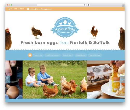 WP Font Awesome Share Icons (wp-font-awesome-share-icons) free WordPress plugin - havensfieldeggs.co.uk WP Font Awesome Share Icons (wp-font-awesome-share-icons) free WordPress plugin - havensfieldeggs.co.uk
