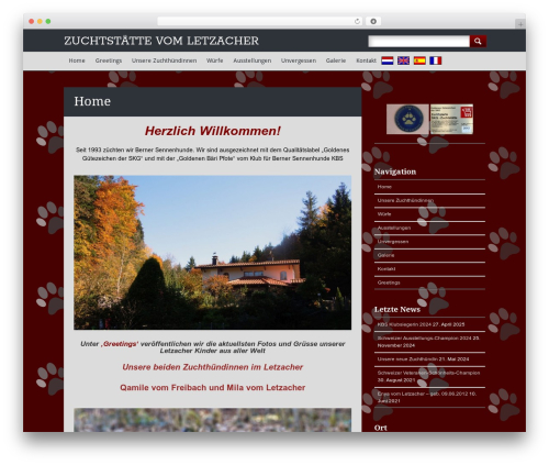 Infosource WordPress theme - letzacher.ch