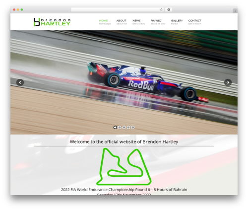 Pc google analytics WordPress plugin - brendonhartley.nz