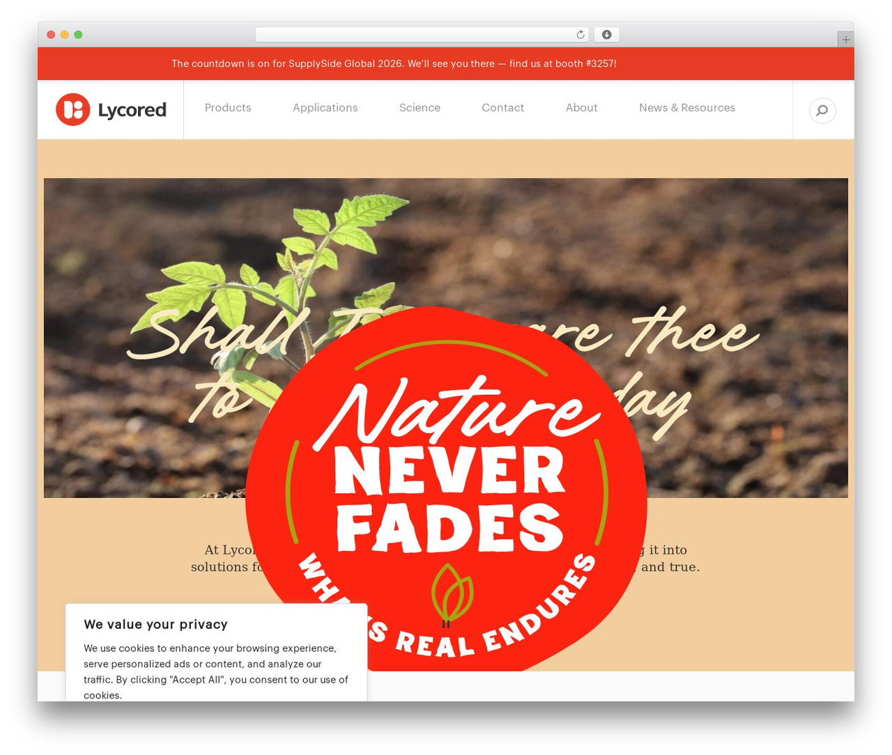 Theme WordPress Lycored Theme - lycored.com