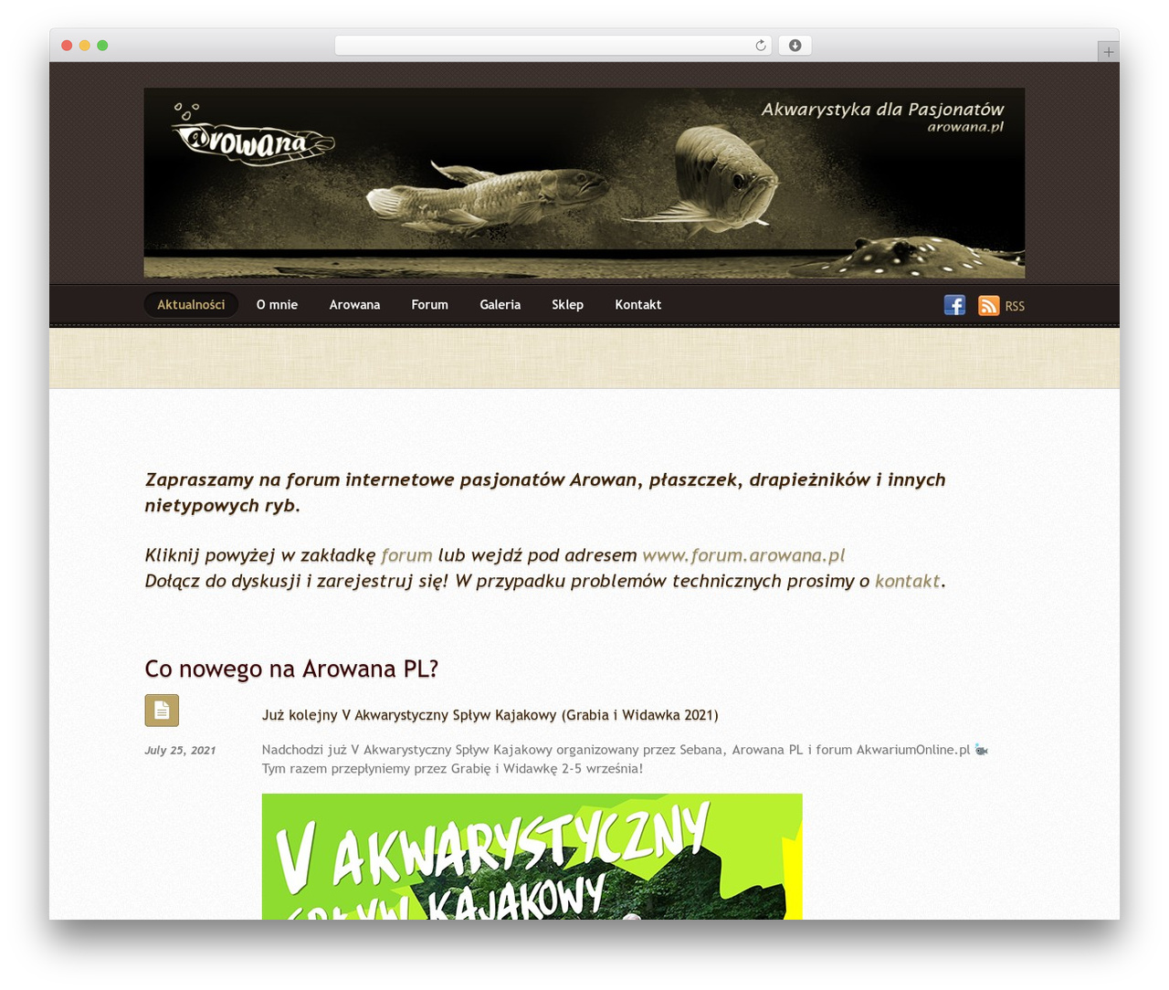 Themify Suco WordPress theme design - arowana.pl Themify Suco WordPress theme design - arowana.pl