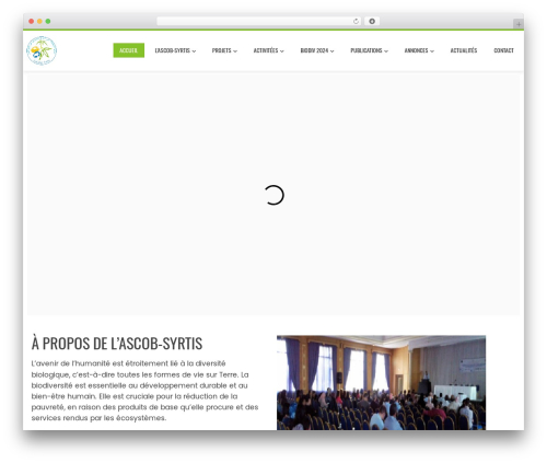 Mongoose Page Plugin (facebook-page-feed-graph-api) free WordPress plugin - ascob.net