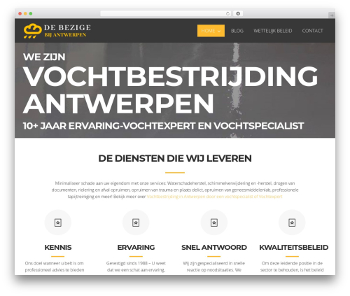 WordPress website theme You - debezigebijantwerpen.be