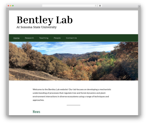GT Basic WordPress theme - lisapatrickbentley.org
