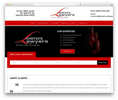 Lawyers WordPress theme - lovemorelawyers.com