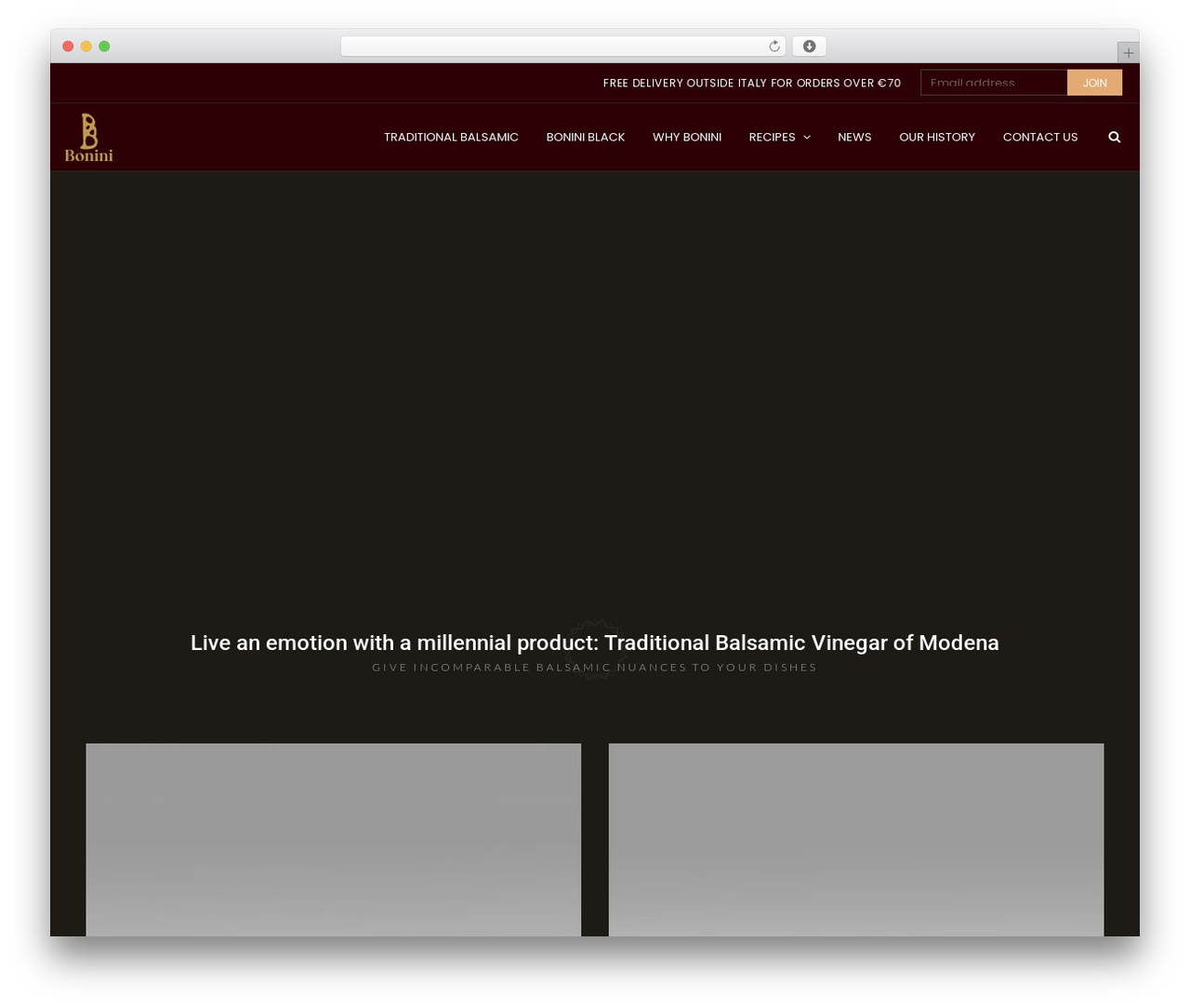 WordPress theme WR Nitro - balsamicobonini.com