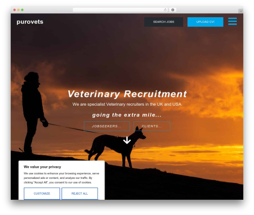 Wpjobboard WordPress plugin - purovets.com