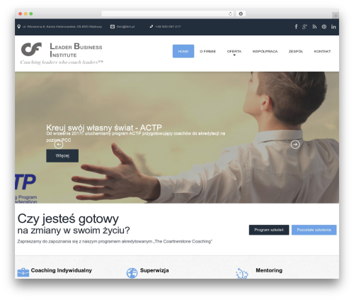 cherry company WordPress theme - lbin.pl