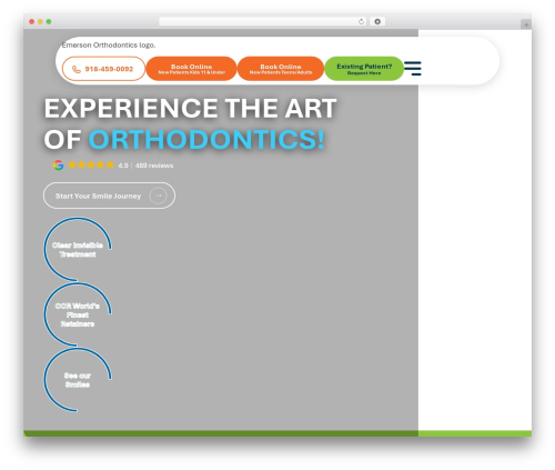 Ada compliance fix WordPress plugin - emersonbraces.com
