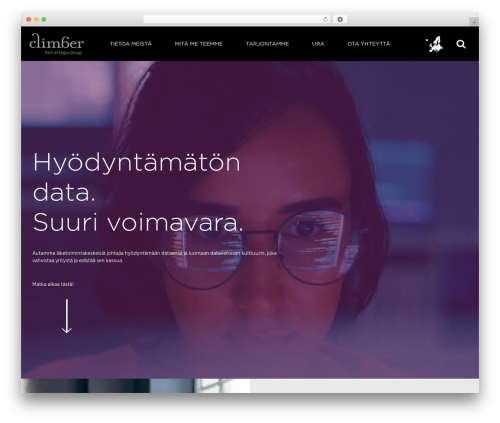 WordPress theme Climber - climber.fi