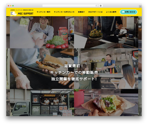 Base Theme WordPress theme - msc-support.com