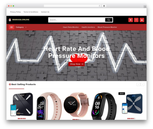 Big Store WordPress theme - mariusa.online