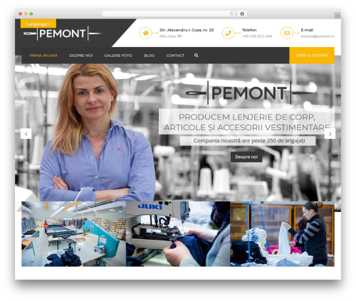 constructo WordPress theme - pemont.ro