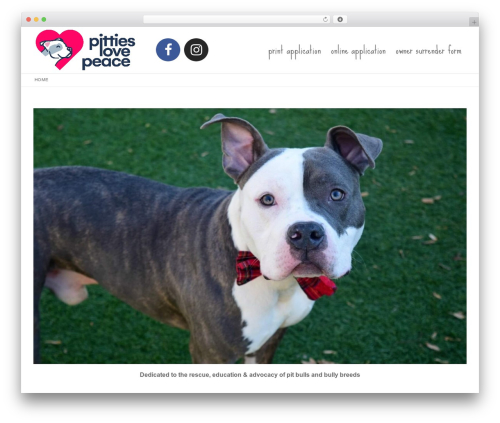List Petfinder Pets (petfinder-listings) free WordPress plugin - pittieslovepeace.com