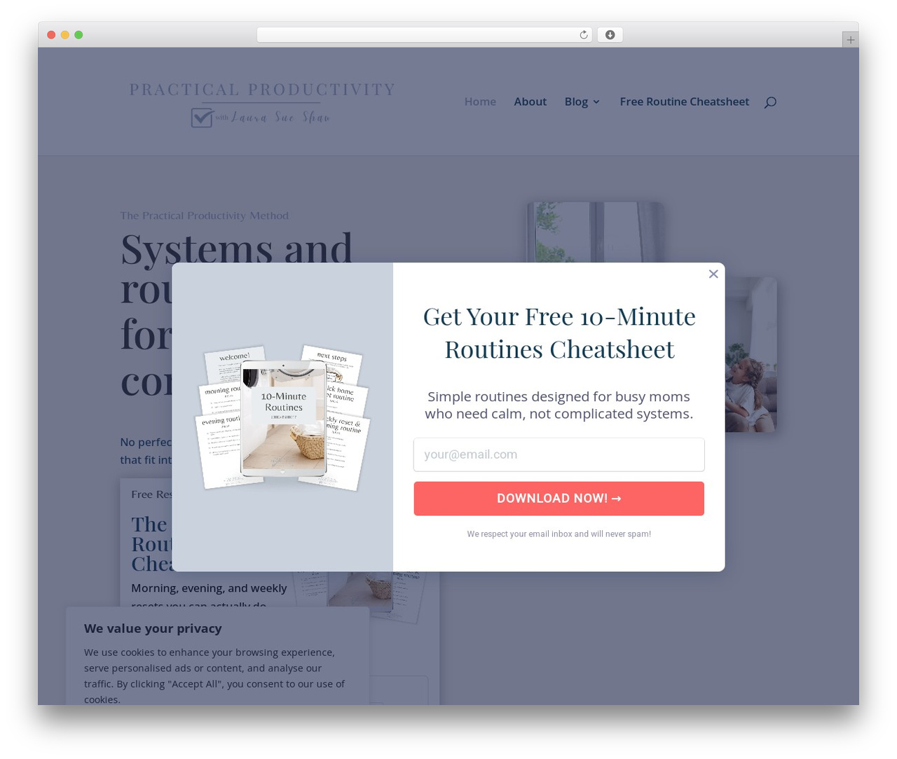 Divi theme WordPress - laurasueshaw.com