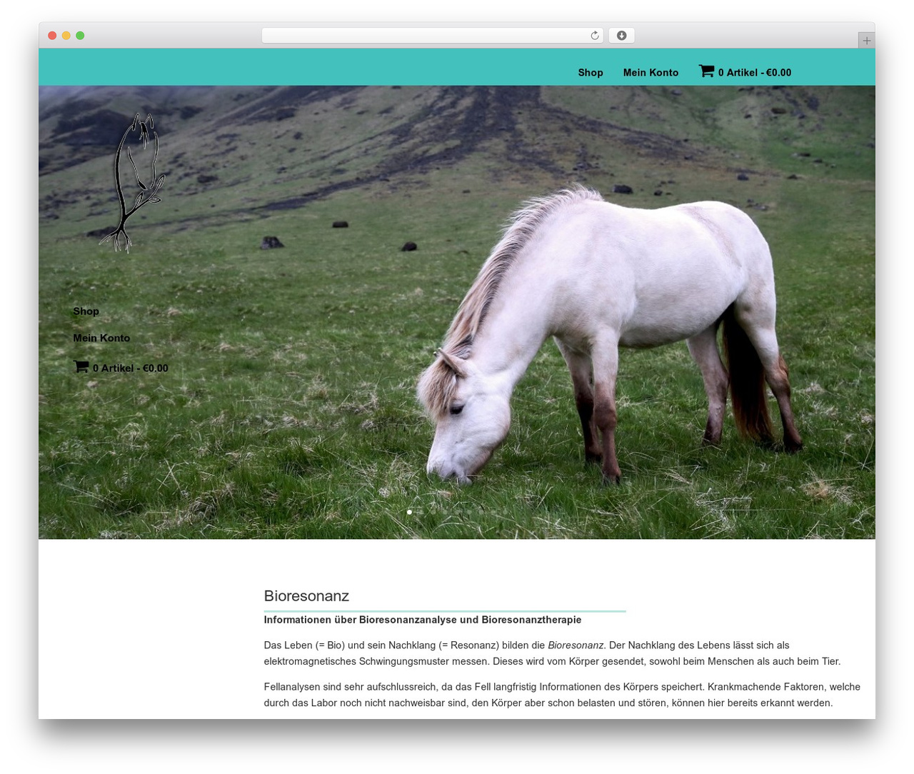 Divi Child Theme WordPress theme - bioresonanz-analysen.com