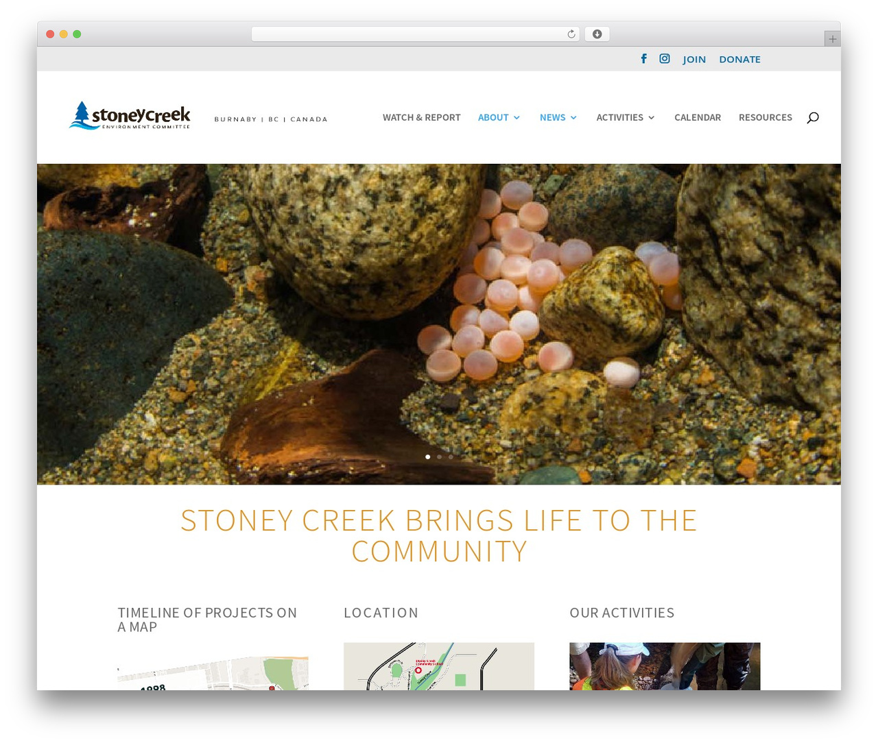 Divi WordPress theme design - scec.ca Divi WordPress theme design - scec.ca