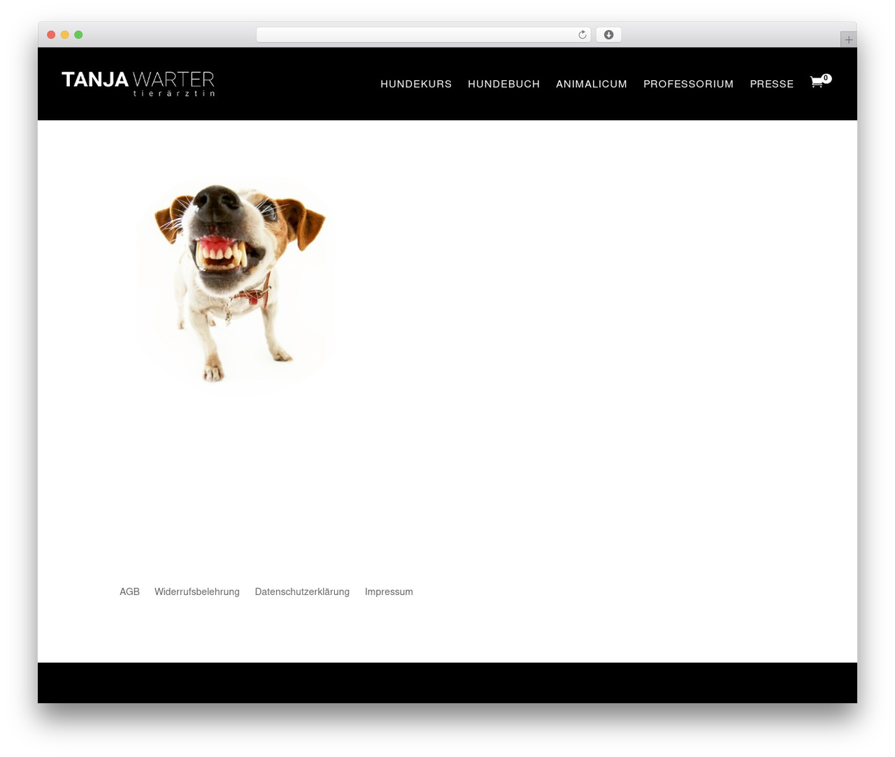 Divi WordPress theme design - docwarter.com Divi WordPress theme design - docwarter.com