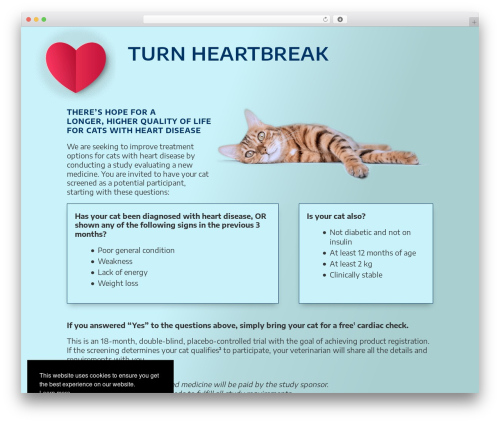 Divi WordPress theme design - felinehearttrial.com