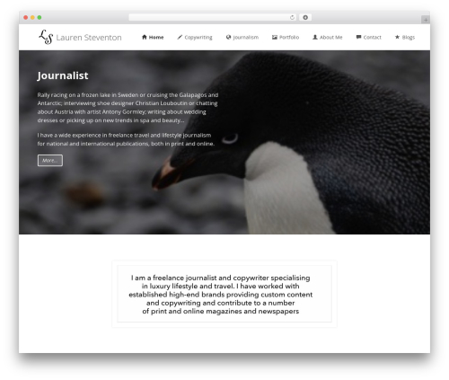 Enlightenment best WordPress theme - laurensteventon.com