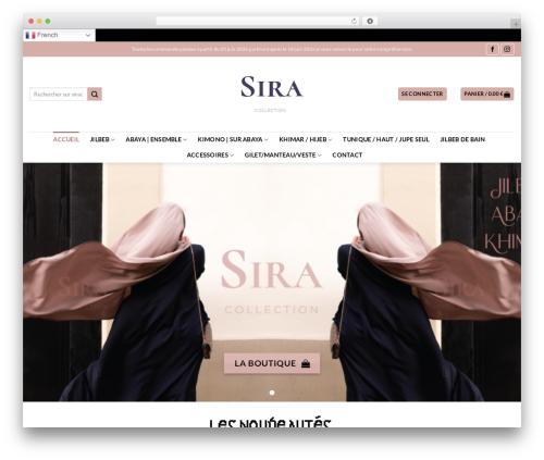 Secupress pro WordPress plugin - siracollection.com