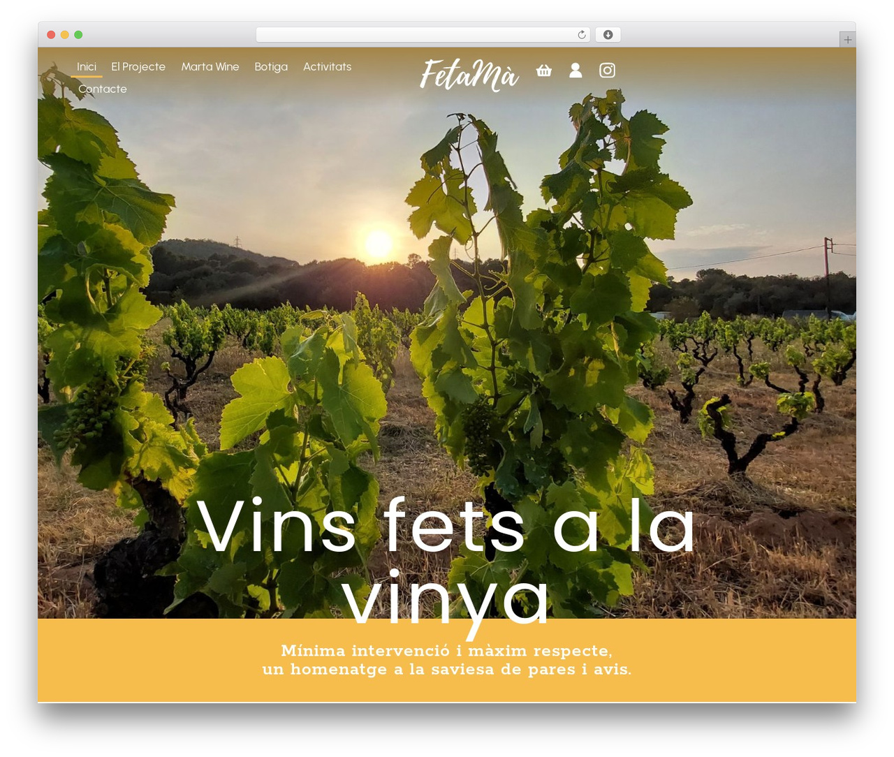 Hello Elementor free WordPress theme - fetamavins.cat