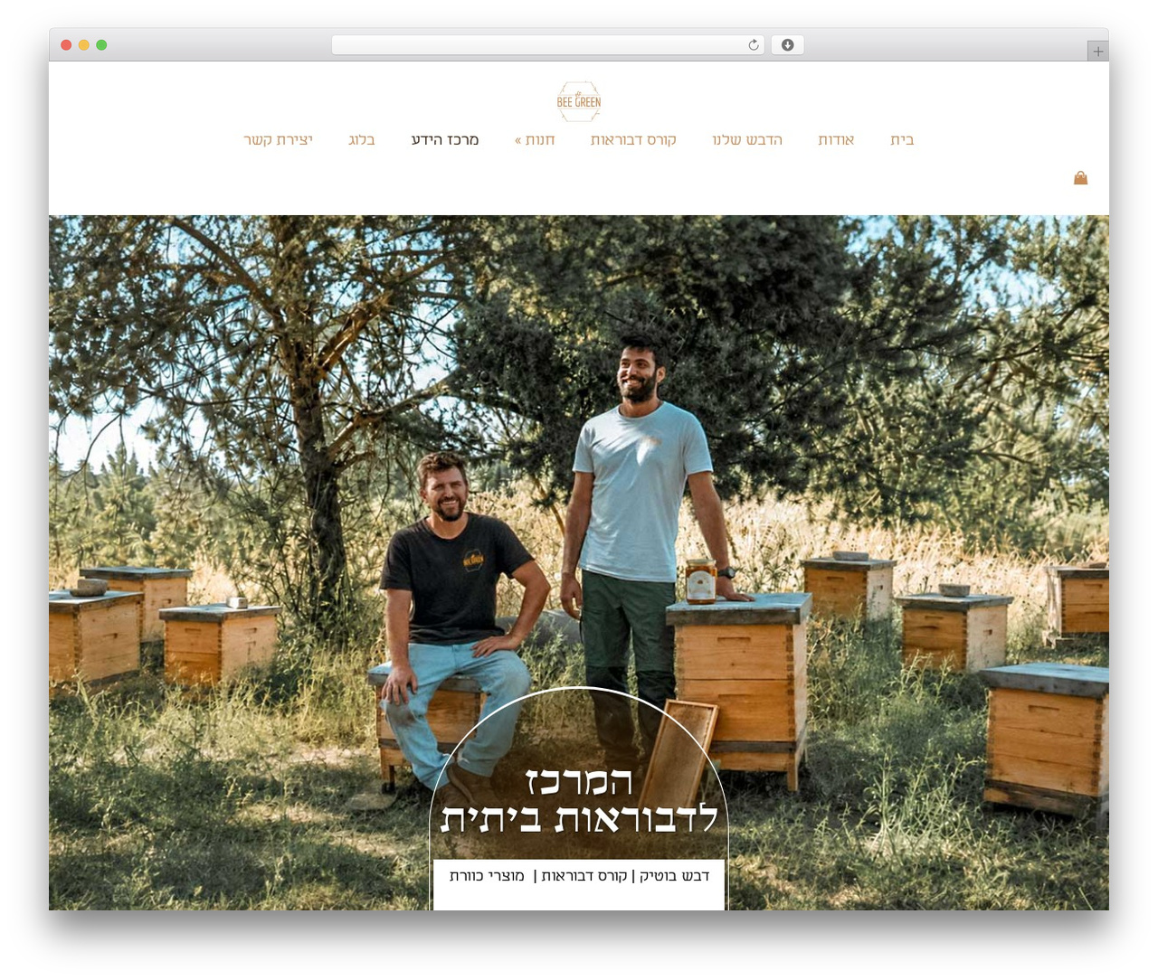 Hello Elementor theme WordPress free - beegreenhives.com Hello Elementor theme WordPress free - beegreenhives.com