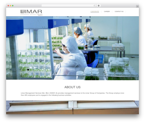 Hen Design Studio Framework WP theme - limargroup.com