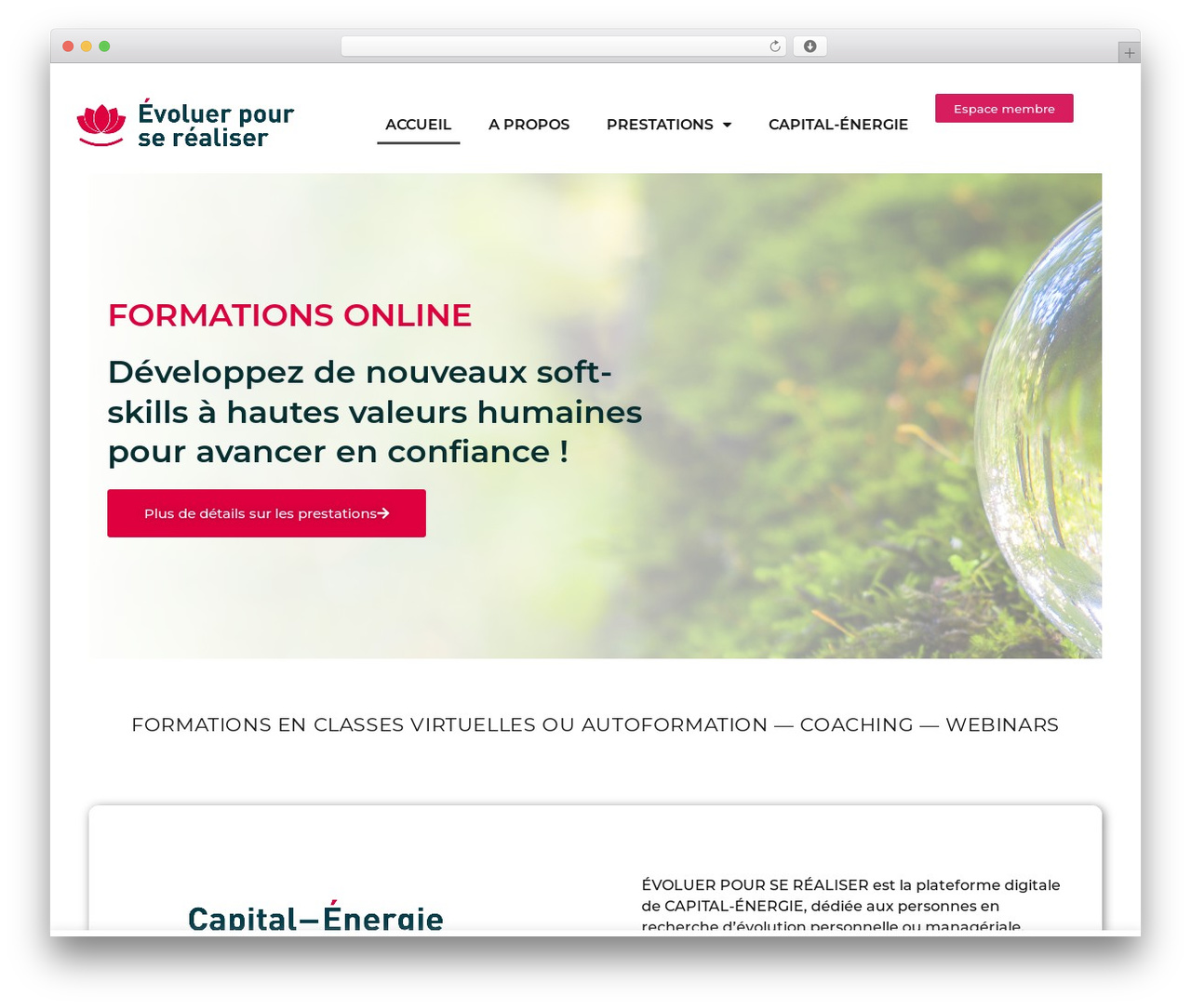 JupiterX theme WordPress - evoluerpourserealiser.fr