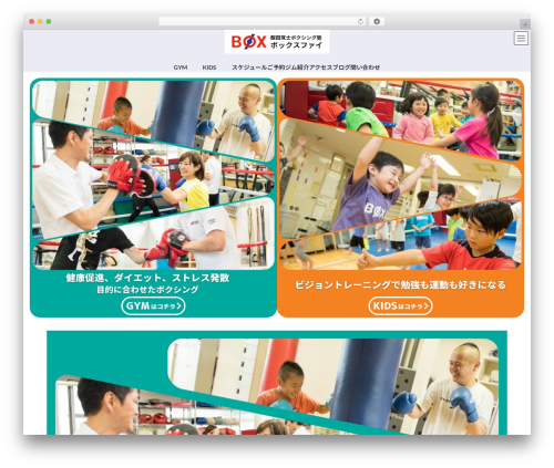 Lightning g3 pro unit WordPress plugin - boxfai.com